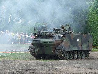 M113